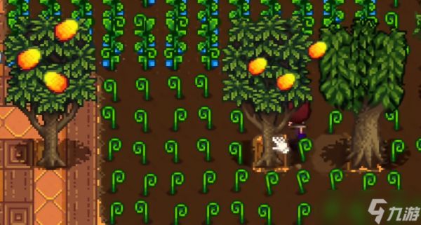 星露谷物语温室种什么果树