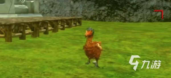 方舟生存进化手游拍照任务全流程攻略：轻松完成所有摄影挑战