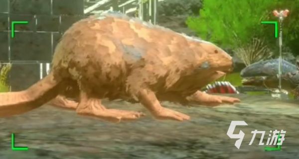 方舟生存进化手游拍照任务全流程攻略：轻松完成所有摄影挑战