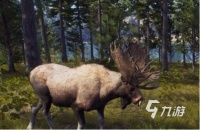 受欢迎的猎人游戏有哪些 2026热门的猎人手游排名