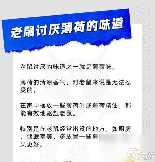 玩转老鼠陷阱，轻松享受游戏乐趣（老鼠陷阱游戏指南）