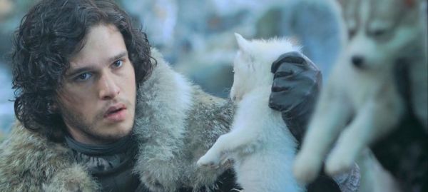 冰原狼2在生化危机中的表现如何？