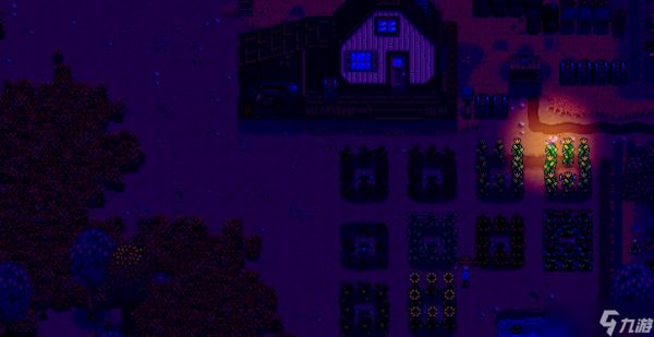 <a id='link_pop' class='keyword-tag' href='https://www.9game.cn/xlgwy/'>星露谷物语</a>半夜仙女有什么用