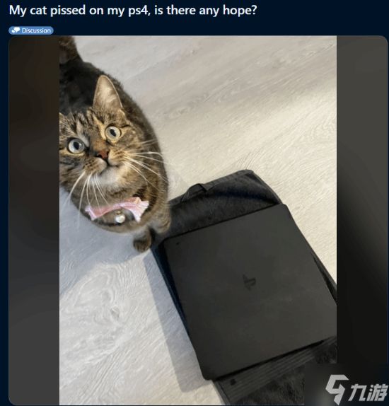 猫咪在PS4上尿了！网友崩溃求助：还有救吗？