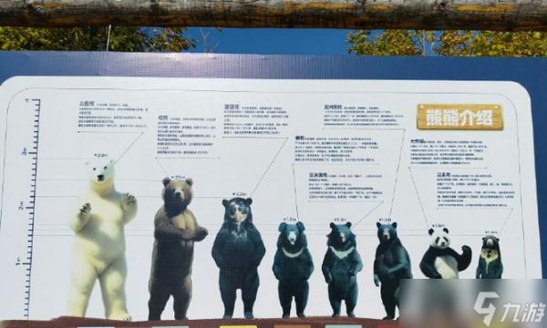 探秘北加尔熊族的特点与优缺点（北加尔熊族）