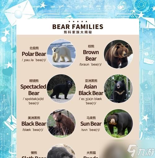 探秘北加尔熊族的特点与优缺点（北加尔熊族）