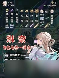 鸣潮琳奈声骸套装如何挑选