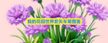 我的花园世界紫矢车菊怎么样
