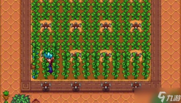 <a id='link_pop' class='keyword-tag' href='https://www.9game.cn/xlgwy/'>星露谷物语</a>酿酒流种什么最好