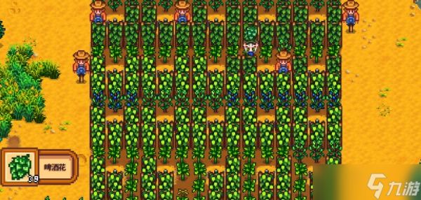 星露谷物语酿酒流种什么最好