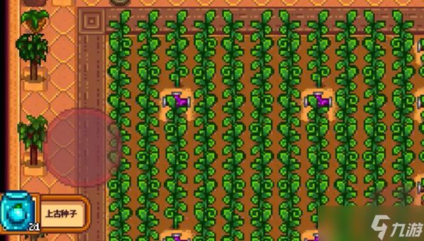 星露谷物语应该种什么作物