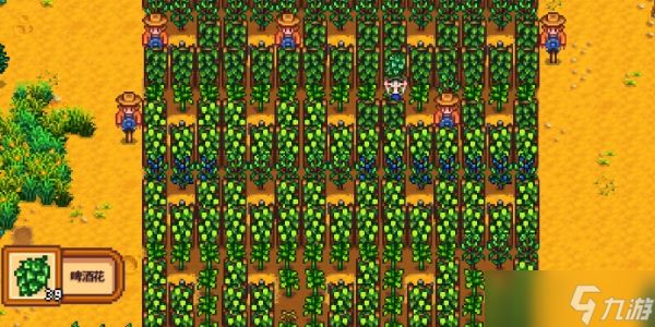 星露谷物语应该种什么作物