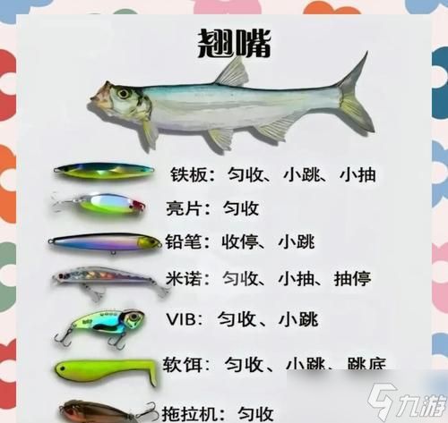 《以波西亚时光稀有鱼钓鱼技巧大揭秘》(稀有鱼钓法、技巧详解)