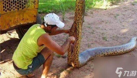 巨蟒副刀雷如何有效使用?