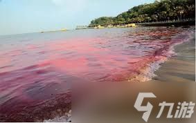 海洋中的赤潮都是红色的吗