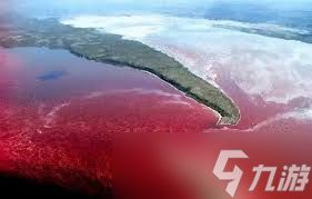 海洋中的赤潮都是红色的吗