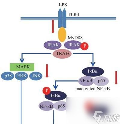 兰顿之兆的合成路径是什么？