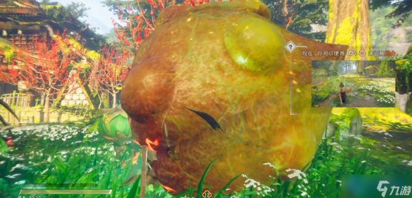 花宿攻略：萌新首战大型怪的必胜指南