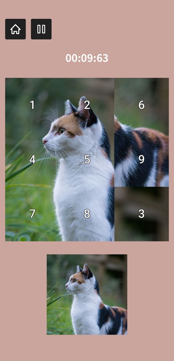 星星单机合集什么时候出 公测上线时间预告