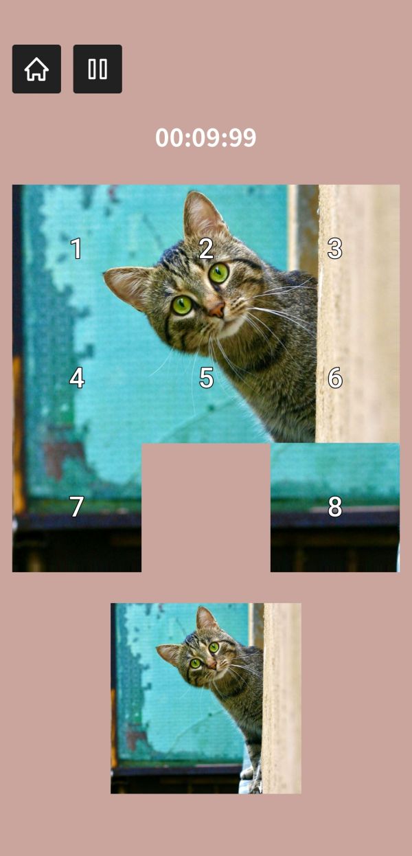 星星单机合集什么时候出 公测上线时间预告