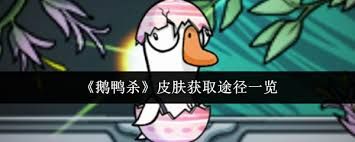 鹅鸭杀皮肤怎么获取