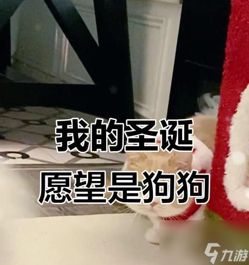 单身狗圣诞节游戏攻略（独乐乐不如众乐乐）