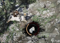 《红色沙漠》全传说马匹获取方法 传说马在哪里