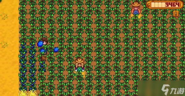 星露谷物语第一年怎么玩