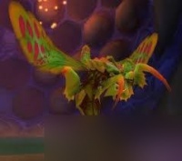 魔兽世界甲虫胸针饰品属性是什么