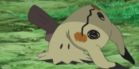 Mimikyu 即将登陆 精灵宝可梦 出发吧 皮卡丘