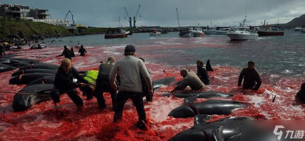《刺客信条4》中捕杀鲸鱼攻略（在游戏中探索鲸鱼的栖息地）