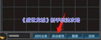 盛世龙城新手如何玩