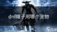 dnf瞎子用哪个宠物