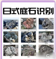 《尼尔人工生命氟石的获取方法》 游戏中的关键道具