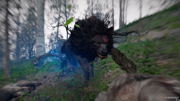 在 红色沙漠 中如何找到暗爪深渊装备