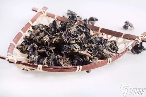 紫菜香菇等干货有保质期吗