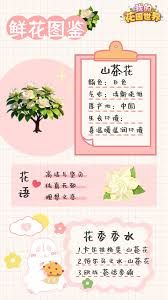 我的花园世界山茶花如何