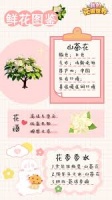 我的花园世界山茶花怎么