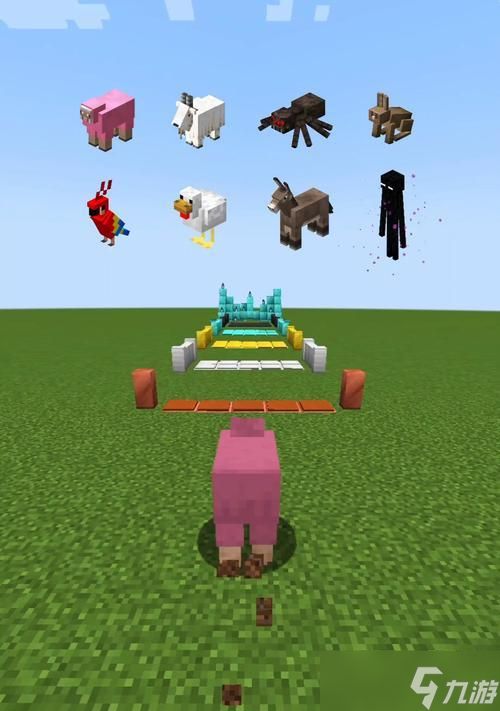 我的世界中压力板的正确使用方法是什么?