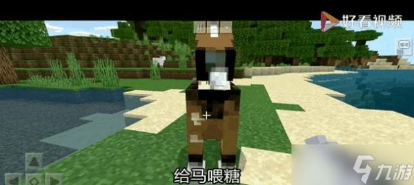 我的世界中马的驯化方法是什么？