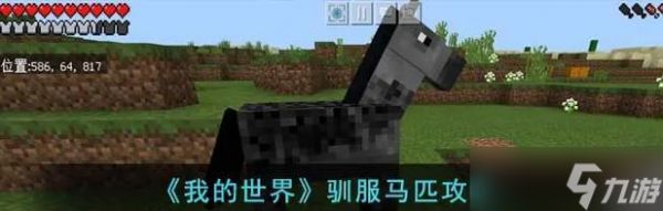 我的世界中马的驯化方法是什么？