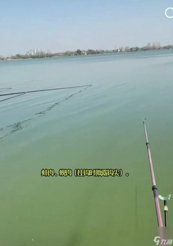 《小森生活》青鱼钓鱼攻略(快速钓到大量青鱼的技巧与地点)