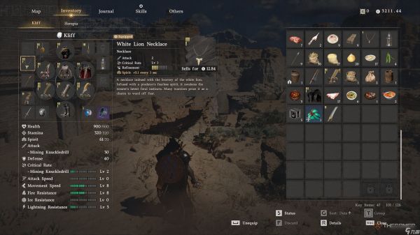 在《红色沙漠》中哪里能找到最好的项链