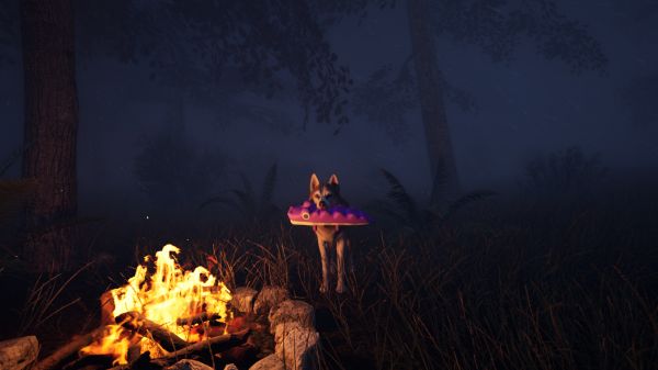 良犬：追影什么时候出 公测上线时间预告