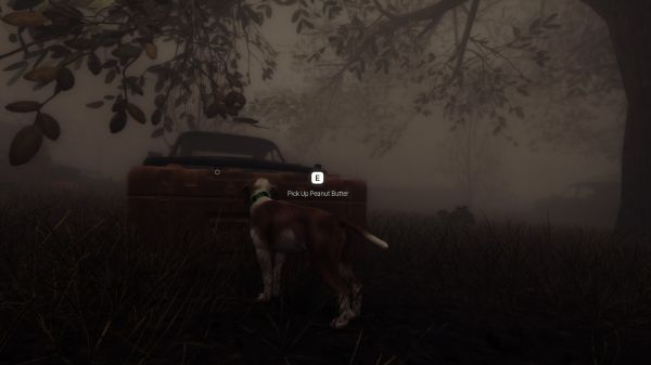 良犬：追影什么时候出 公测上线时间预告