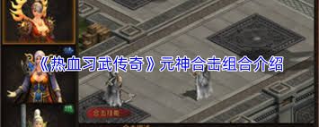 热血习武传奇元神合击技怎么用