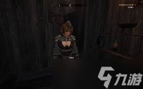 污痕圣杯阿瓦隆的陨落阿丽莎任务怎么过