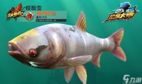 《点心快跑》 一款独特的小金鱼游戏