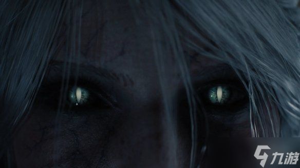 《巫师4》玩法情报大公开!"猎魔女"希里颠覆传统体验