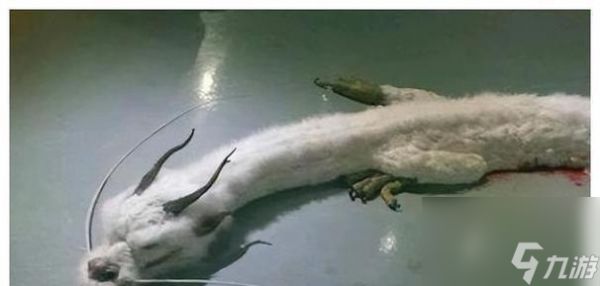 上古世界真的好玩吗？上古世界值得体验吗？